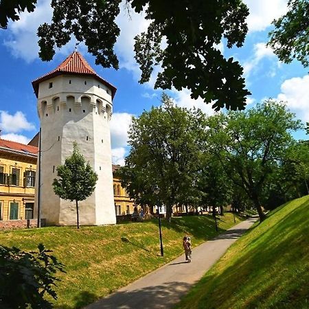 Casa Panzarului Lejlighed Sibiu Eksteriør billede
